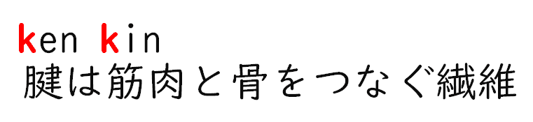腱と筋肉のつながりを示すイラストで、腱(ken)と筋肉(kinniku)のイニシャル「k」を強調し、靭帯との混同を避けるポイントを示している。