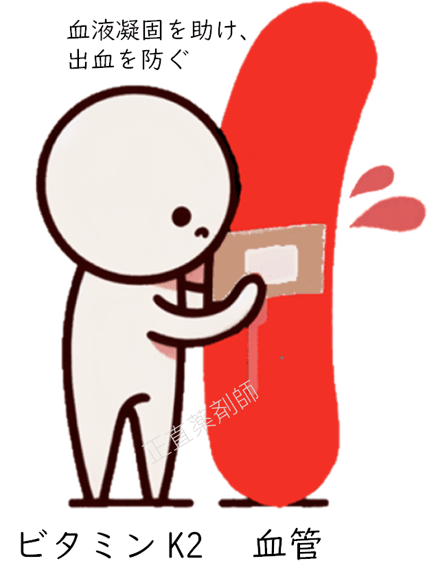 ビタミンK2のキャラクターが傷ついた血管に絆創膏を貼り、血液凝固を助けて出血を防いでいる様子を示すイラスト。