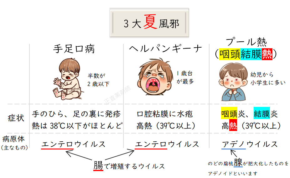 3大夏風邪（手足口病、ヘルパンギーナ、プール熱）の特徴を示す表。各病気における典型的な症状のイラスト付き。
