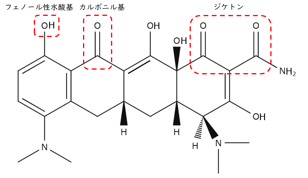 ミノマイシンの化学構造式の画像。フェノール性水酸基、カルボニル基、ジケトン構造が赤枠で囲まれ、これらの構造がカルシウムとの結合を促進することが示されています。