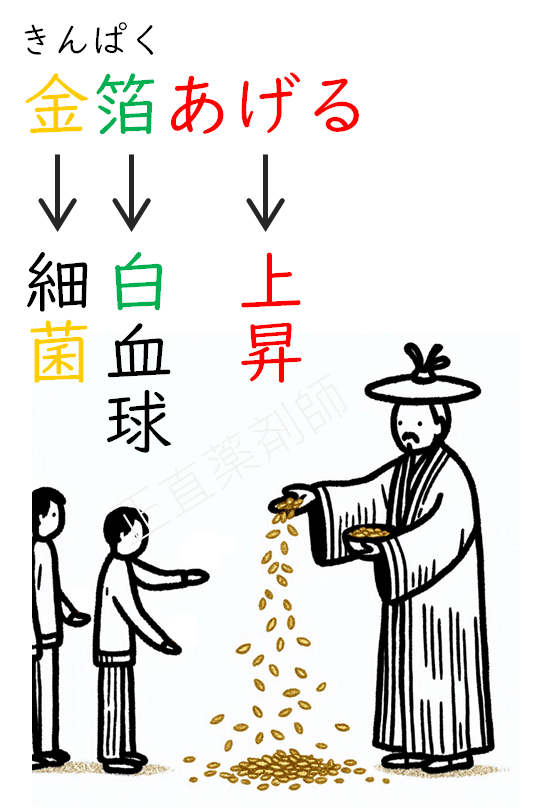 白血球の増加を「金箔あげる」という語呂合わせで覚えるためのイラスト。金色の箔をあげている手が描かれている。