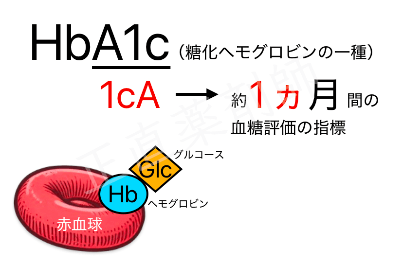 ヘモグロビンA1cを「1ヵ月」と覚える語呂合わせを説明したイラスト。赤血球中のヘモグロビンにグルコースが結合している様子も描かれている。