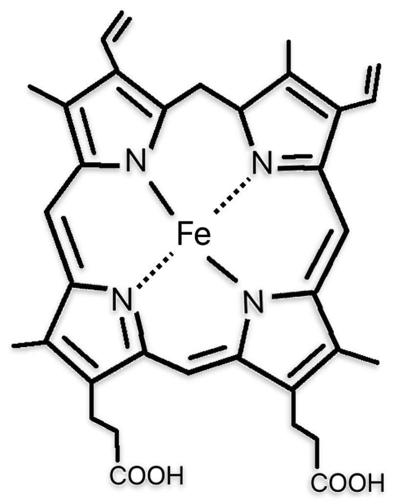 ヘム鉄の化学構造式を示す図。ポルフィリン環に鉄（Fe）イオンが中心に結合している構造。