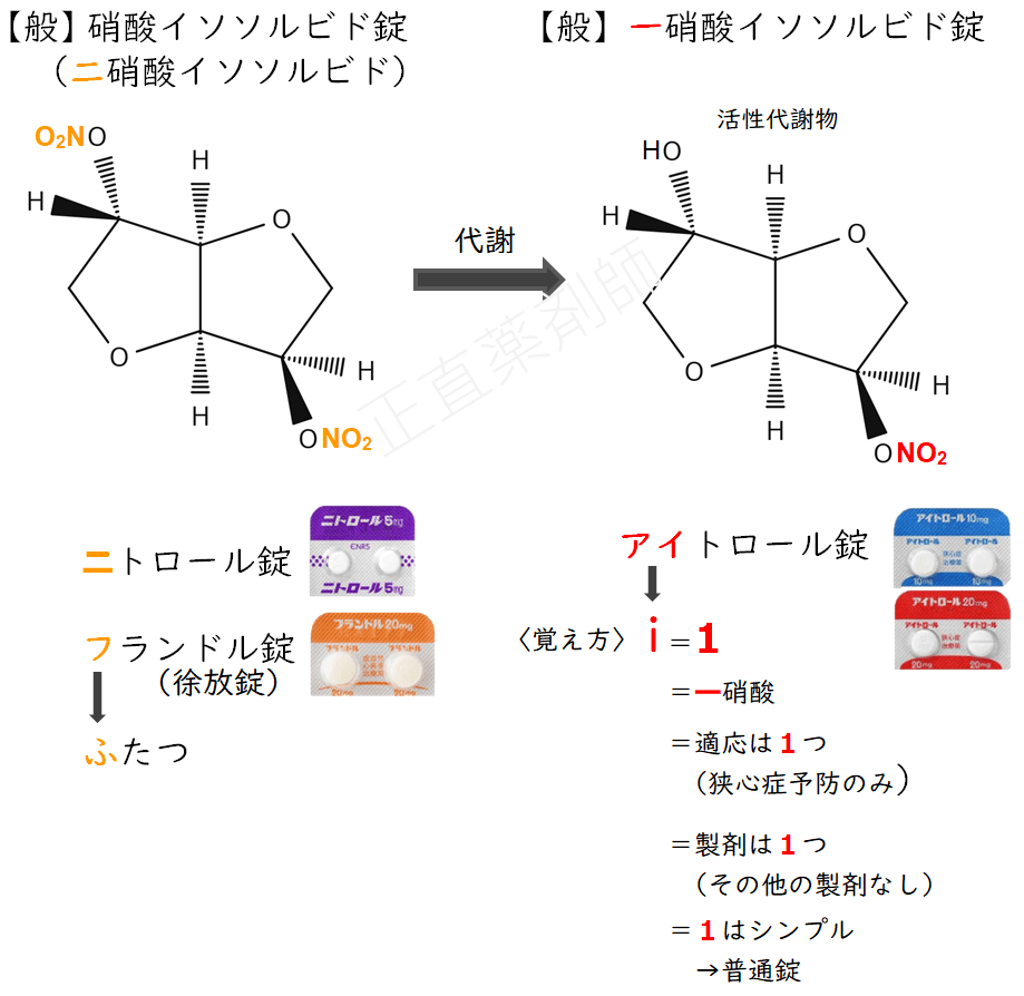 （二）硝酸イソソルビドと一硝酸イソソルビドの化学構造式を比較したイラスト。ニトロ基の数（2つと1つ）の違いを示している。視覚的に理解しやすい教育目的の画像。