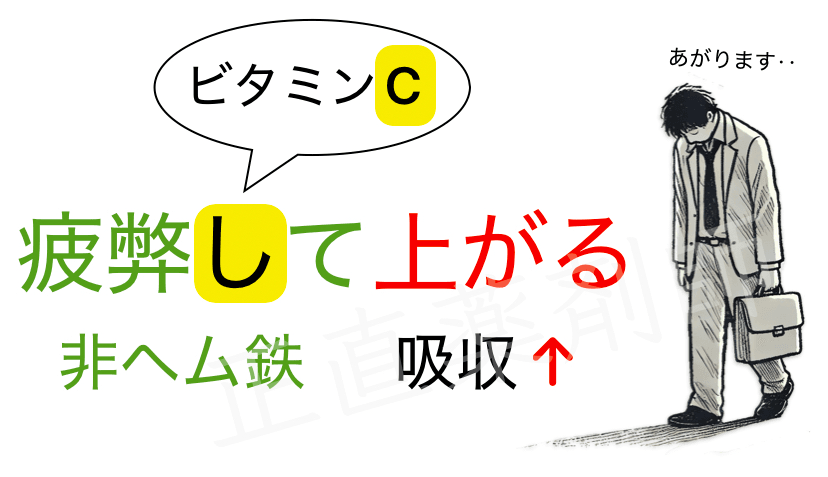 非ヘム鉄がビタミンCによって吸収されやすくなることを『疲弊して上がる』という語呂合わせで示した画像