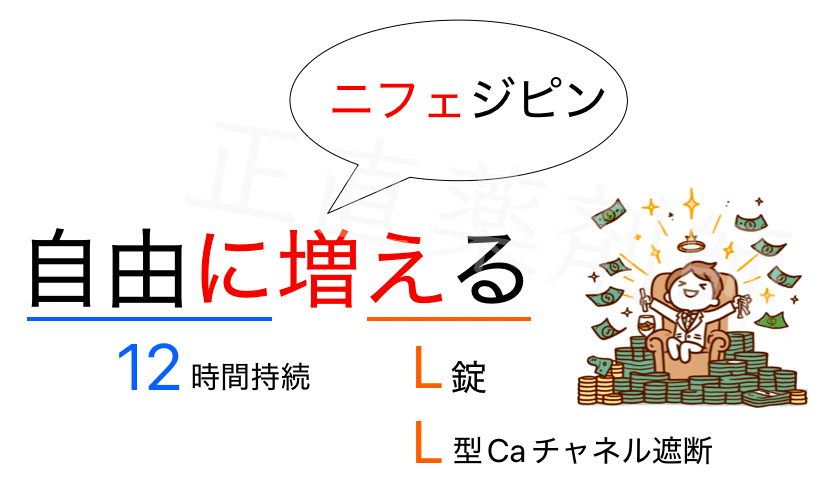 ニフェジピン徐放錠20mg（12時間持続）がL錠であることを覚える語呂合わせ「自由に（12時間）増える（L）」を示した画像。