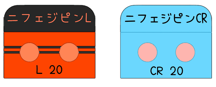 ニフェジピンL錠20mg（12時間持続）とニフェジピンCR錠20mg（24時間持続）の比較イラスト。作用時間の違いに注意が必要。