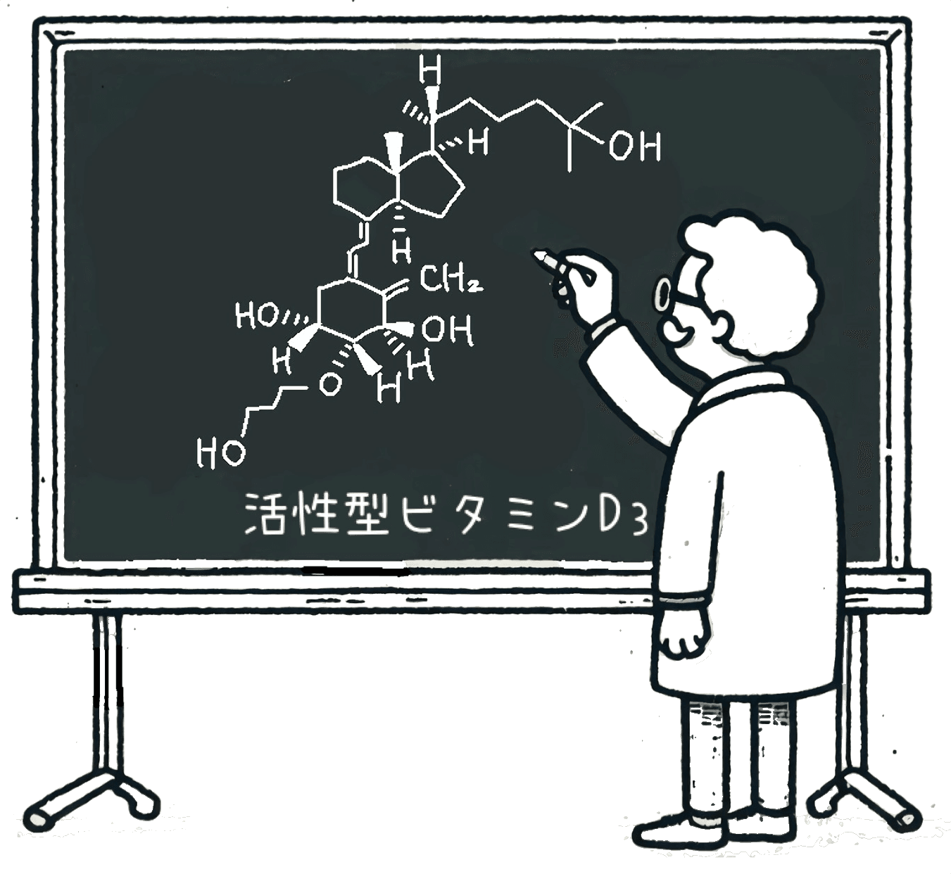 教授が黒板に活性型ビタミンD₃（カルシトリオール）の化学構造式を書いている様子を描いたイラスト。