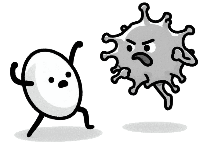 白血球のキャラクターがバイ菌のキャラクターと戦っているイラスト
