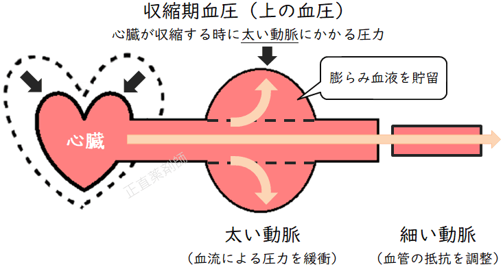 心臓が収縮したときに太い動脈にかかる圧力(収縮期血圧)を示すイラスト
