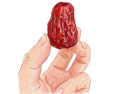 素朴で温かみのあるタイソウ（大棗）のイラスト、クレヨン画風