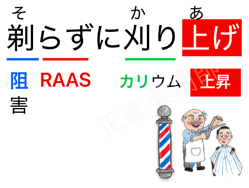 RAAS(Renin-Angiotensin-Aldosterone System)阻害により高カリウム血症が誘発されるという事を覚えるためのイラスト。