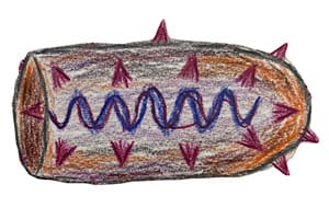 狂犬病ウイルス (Rabies Virus) のイラスト。弾丸のような砲弾型、エンベロープ表面のスパイク状の糖タンパク質、内部の螺旋状のRNAゲノムをクレヨン風のタッチで描画。致死的な神経親和性を持つウイルス粒子の特徴を表現。